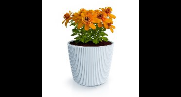 Plantenpot/bloempot Buckingham - buiten/binnen - kunststof - lichtgrijs - D17 x H15 cm
