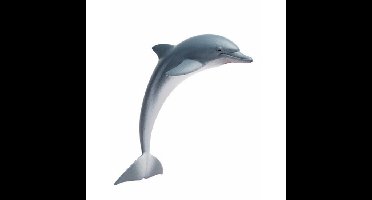 Plastic speelgoed figuur dolfijn 11 cm