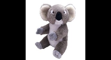 Pluche koala beer knuffel - 30 cm - Australische dieren - Koala beren knuffeldieren