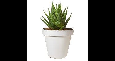 Pro Garden Bloempot - wit - rond - D20 cm - kunststof - plantenpot - tuin buiten