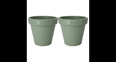 Pro Garden Plantenpot/bloempot - 2x - Tuin buiten - kunststof - groen - D25 cm