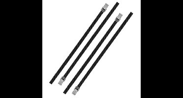 Proplus caravan/camper fietsen spanbanden/sjorbanden/bindriemen - 4x stuks - 200 cm