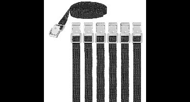 Proplus caravan/camper fietsen spanbanden/sjorbanden/bindriemen - 6x stuks - 150 cm