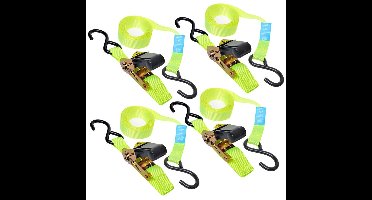 ProPlus Spanbanden met ratel - 4x - dubbele haak - caravan / camper fietsen - 5 meter