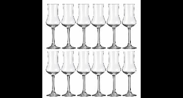 Royal Leerdam Likeur/borrelglazen - 24x stuks - transparant - 90 ml - Specials serie