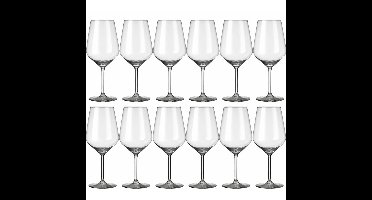 Royal Leerdam Luxe wijnglazen voor wijn - Carre - 12x stuks - 530 ml