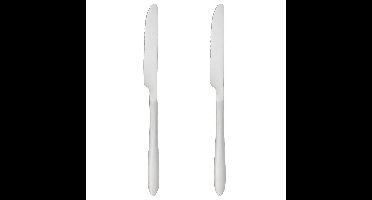 Secret de Gourmet bestek Messen Nevis - 2x stuks - RVS - 23 cm