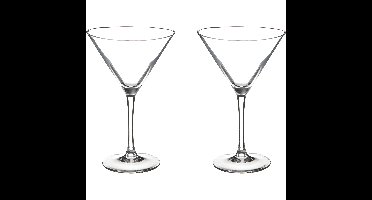 Secret de Gourmet Cocktailglazen - 8x stuks - martiniglazen - 210 ml - transparant