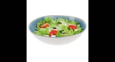Serveerschaal/saladeschaal - D30 x H9 cm - kunststof - blauw - rond