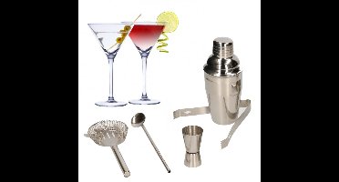 Set van 4x Martini cocktailglazen met complete 5-delige cocktailshaker set RVS