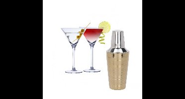 Set van 4x Martini cocktailglazen met goud gestreepte cocktailshaker RVS