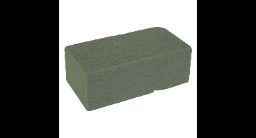 Steekschuim/oase - nat - rechthoekig - groen - 20 x 10 x 7 cm