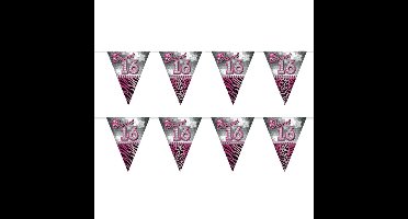 Sweet 16 Sixteen vlaggenlijn slinger - 2x - plastic - 10 meter - versiering - roze/zilver