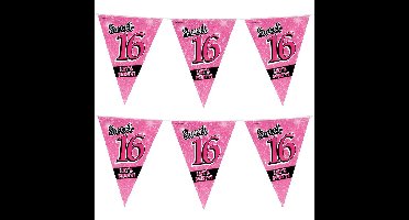 Sweet 16 slingers 10 meter roze - 2x - 16e Verjaardag - Vlaggenlijnen/slingers - Feestversiering