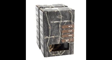 Touwverlichting - 2x - met 15 micro led lampjes - op batterij - 150 cm