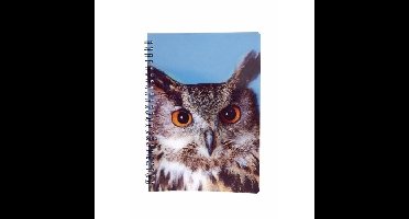 Uilen vogels thema schrift notitieboekje 3D 21cm