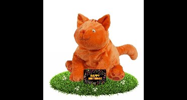 Verjaardag knuffel Dikkie Dik 43 cm met gratis verjaardagskaart