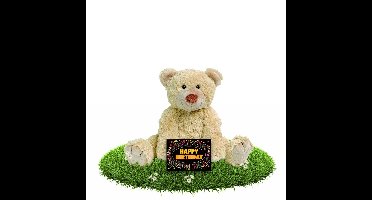 Verjaardag knuffelbeer Boogy 35 cm met gratis verjaardagskaart