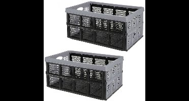 Vouwkrat/boodschappenkrat - 2x - 32 liter - zwart/grijs - kunststof - 48 x 35 x 24 cm