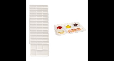 Wegwerp vakjes borden - 50x stuks - 22 x 32 x 2 cm - suikerriet - biologisch afbreekbaar