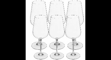 Wijnglazen set Lena - 12x - voor rode en witte wijn - 36 CL - 45 CL
