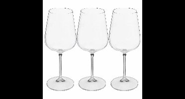 Wijnglazen set Lena - doosje 12x stuks - chique transparant glas - 45 CL