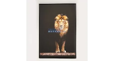 Canvas schilderij Lion