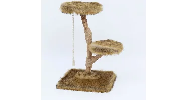 Klimboom prunus 85cm grizzly bruin