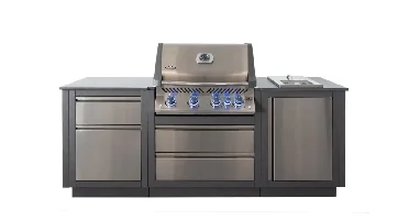 OASIS™ Compact Inbouwbarbecue Prestige® 500