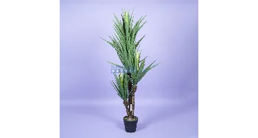 Yucca h160cm groen
