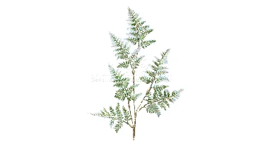 Decoratietak Varen Glitter 69cm Groen