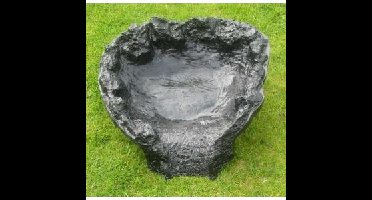 Tarn beekloop - startelement