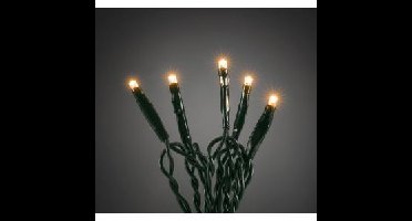 Micro LED lichtsnoer groen met 100 extra warm witte lampen