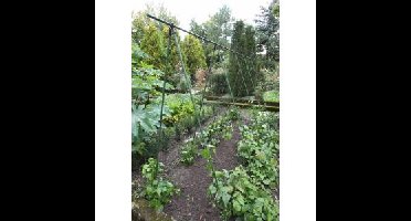 Plantenstokken set van 12 stuks