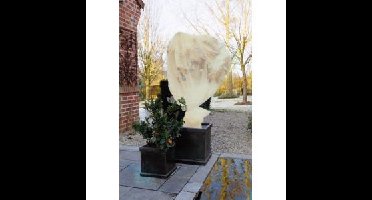 Winterafdekvlies beige 2 x 10 meter