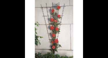 Metalen klimrek V-vorm recht bruin