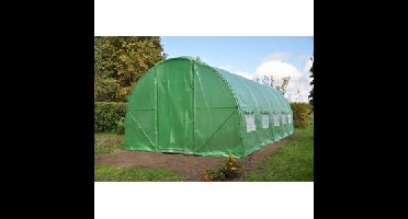 Royal Well foliekas Silver Rocket D18