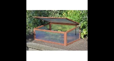 Sweet Tomato kweekkas