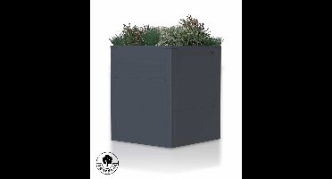 4gardenz 4gardenz vierkante plantenbak met verhoogde bodem 50x50x60cm - antraciet