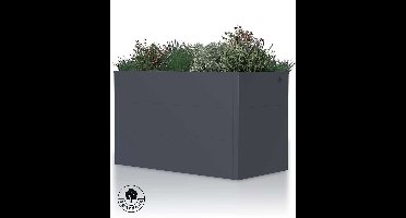 4gardenz 4gardenz rechthoekige plantenbak met verhoogde bodem 100x50x60cm - antraciet