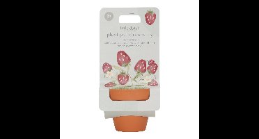 Plantenpotje Little Dutch Aarbei