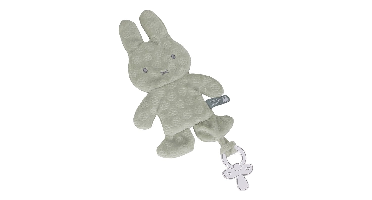 Speendoekje Nijntje Green Flower