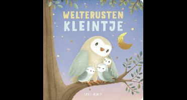 Boekje Little Dutch Welterusten Kleintje