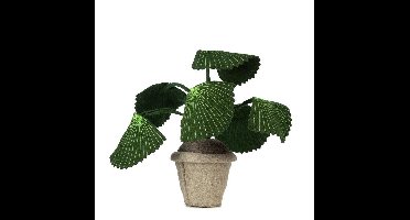 Plant KidsDepot Pebbe