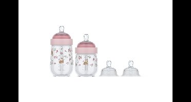 Starterset Babyflessen Mepal x Little Dutch Mio Fairy Garden 4-delig