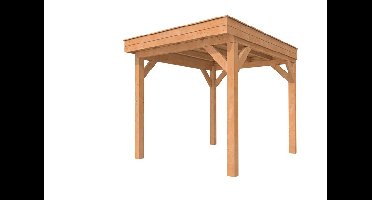 Woodvision Premium L overkapping 360x310 cm Douglas Blank- Plat dak- Onbehandeld lariks Douglas hout- Woodvision