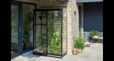 Royal Well Qube aluminium muurkas Lean-to 24 128x65x204 cm zwart met veiligheidsglas- - Veiligheidsglas- Royal Well