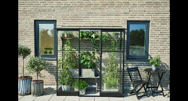 Royal Well Qube aluminium muurkas Lean-to 26 189x65x204 cm zwart met veiligheidsglas- - Veiligheidsglas- Royal Well