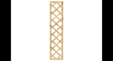 Trellis diagonaal met lijst 40x180 cm