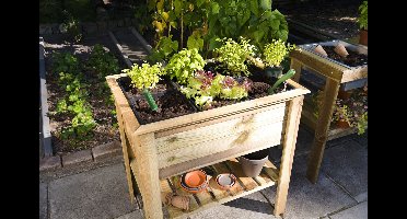 Moestuintafel
